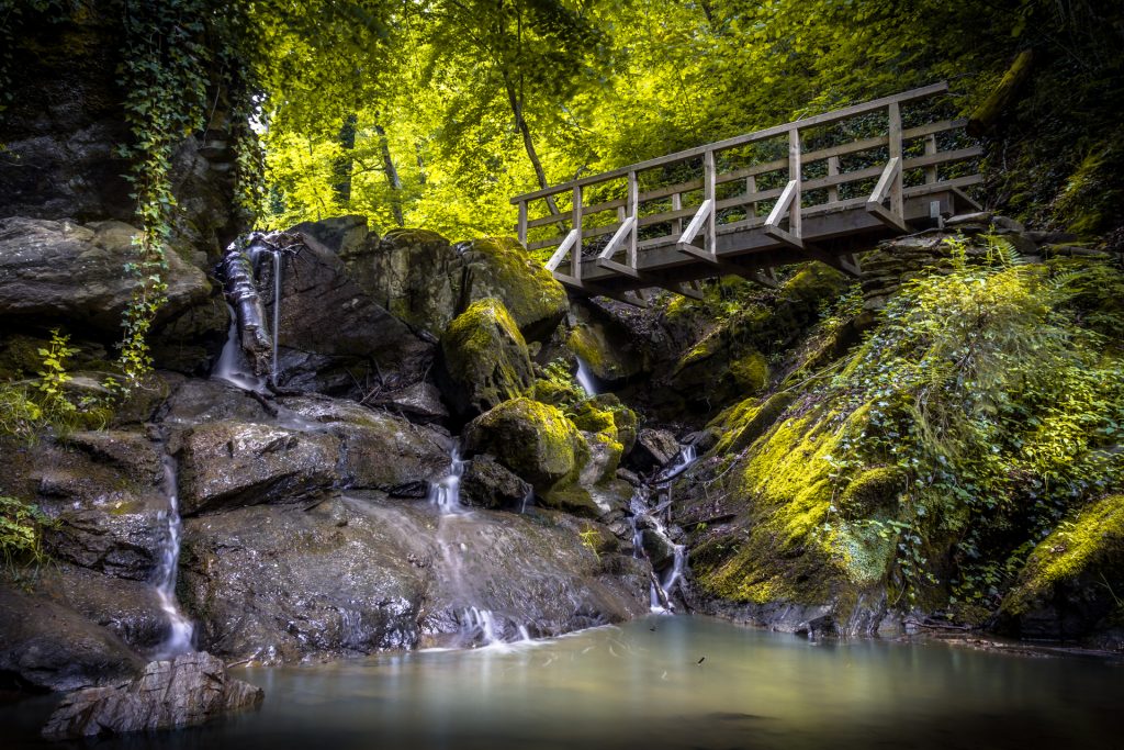 Rettenbachklamm ### Marketingtext für die Region Steiermark: Entdecken Sie die Vielfalt und Einzigartigkeit der Steiermark – von abenteuerlichen Erlebnissen bis hin zu versteckten Schätzen abseits der ausgetretenen Pfade. Hier sind 60 unvergessliche Aktivitäten, die Ihnen die Schönheit und Kultur dieser Region näherbringen werden. --- **1. Am Dachstein über die höchstgelegene Hängebrücke Österreichs spazieren:** Erleben Sie Nervenkitzel pur auf der höchsten Hängebrücke Österreichs am Dachstein. Diese atemberaubende Konstruktion bietet einen unvergesslichen Ausblick auf das umliegende Bergpanorama und die tiefen Schluchten darunter. Ein Muss für alle Abenteurer und Fotografen! **2. Im Stubenbergsee schwimmen:** Tauchen Sie ein in das klare Wasser des Stubenbergsees, einem der wärmsten Badeseen der Steiermark. Genießen Sie entspannte Stunden am Ufer, während die Kinder sich im Wasser austoben. Der perfekte Ort für eine sommerliche Auszeit in der Natur. **3. Sich an der südsteirischen Weinstraße von Buschenschank zu Buschenschank durchprobieren:** Entdecken Sie die südsteirische Weinstraße, wo Sie sich von einem Buschenschank zum nächsten durchkosten können. Hier erwarten Sie ausgezeichnete Weine, regionale Köstlichkeiten und herzliche Gastfreundschaft – der Inbegriff steirischer Lebensfreude. **4. Um den Grünen See spazieren:** Der Grüne See ist ein Naturphänomen, das durch seine smaragdgrüne Farbe und kristallklares Wasser besticht. Spazieren Sie entlang der Uferwege und lassen Sie sich von der atemberaubenden Naturkulisse verzaubern, die besonders im Frühjahr und Herbst ihren vollen Zauber entfaltet. **5. In der Zotter Manufaktur so viel Schokolade verkosten, bis einem der Bauch weh tut:** Schokoladenliebhaber aufgepasst! In der Zotter Schokoladenmanufaktur können Sie nach Herzenslust naschen. Probieren Sie sich durch das umfangreiche Sortiment an Kreationen und erleben Sie hautnah, wie die süßen Köstlichkeiten hergestellt werden. **6. Sich eine genüssliche Auszeit in der Therme gönnen:** Gönnen Sie sich eine wohltuende Auszeit in einer der vielen Thermen der Steiermark. Ob Entspannung im warmen Thermalwasser, eine vitalisierende Massage oder ein Tag in der Sauna – hier findet jeder die perfekte Erholung. **7. Einen Adventmarkt besuchen:** Die Steiermark ist berühmt für ihre stimmungsvollen Adventmärkte. Schlendern Sie durch die festlich geschmückten Stände, genießen Sie Punsch und gebrannte Mandeln und lassen Sie sich von der weihnachtlichen Atmosphäre verzaubern. **8. Am Red Bull Ring bei einem Rennen mitfiebern:** Spüren Sie den Nervenkitzel der Geschwindigkeit bei einem Besuch des Red Bull Rings in Spielberg. Egal, ob Formel 1, MotoGP oder andere Motorsport-Events – hier sind Spannung und Adrenalin garantiert! **9. Wie Oprah Winfrey die Stiftsbibliothek Admont bestaunen:** Die Stiftsbibliothek Admont ist eine der beeindruckendsten Klosterbibliotheken der Welt. Lassen Sie sich von der barocken Pracht überwältigen, die schon Oprah Winfrey faszinierte, und tauchen Sie ein in die Welt des Wissens und der Kunst. **10. Beim Aufsteirern Dirndl und Lederhose ausführen:** Feiern Sie die steirische Kultur beim jährlichen Aufsteirern in Graz. Ziehen Sie Ihr schönstes Dirndl oder Ihre Lederhose an und tanzen Sie zu traditioneller Volksmusik, während Sie regionale Spezialitäten genießen. **11. Die Lipizzaner in Piber besuchen:** Erleben Sie die majestätischen Lipizzaner-Pferde in ihrem Ursprungsort Piber. Hier können Sie die stolzen Tiere hautnah erleben und mehr über ihre Geschichte und Ausbildung erfahren. **12. Durch die Grazer Altstadt bummeln und den Schloßberg besteigen (natürlich über die Stiegen!):** Die Grazer Altstadt verzaubert mit ihrem historischen Charme und den vielen kleinen Boutiquen, Cafés und Sehenswürdigkeiten. Steigen Sie die Stufen zum Schloßberg hinauf und genießen Sie den Ausblick über die Dächer der Stadt. **13. Auf der Schlossbergrutsche wieder hinunterrutschen:** Nach dem Aufstieg auf den Schloßberg geht es rasant zurück ins Tal – und zwar mit der Schlossbergrutsche, einer der längsten Indoor-Rutschen Europas. Ein Spaß für Groß und Klein! **14. Eine Weitwanderung starten - zum Beispiel die Wanderroute "Vom Gletscher zum Wein":** Erleben Sie die Vielfalt der steirischen Landschaft auf einer Weitwanderung. Die Route "Vom Gletscher zum Wein" führt Sie von den Hochgebirgsregionen bis in die malerischen Weinberge und zeigt Ihnen die Steiermark von ihrer schönsten Seite. **15. Mit dem Rad den Murradweg entlangdüsen:** Der Murradweg bietet Radfahrern eine perfekte Mischung aus Natur, Kultur und Genuss. Folgen Sie dem Fluss Mur durch idyllische Landschaften, charmante Städte und genießen Sie die kulinarischen Köstlichkeiten entlang der Strecke. **16. Einen steirischen Naturpark erkunden:** Die Naturparks der Steiermark sind wahre Schätze der Biodiversität. Erkunden Sie die unberührte Natur, wandern Sie durch Wälder und Wiesen, und entdecken Sie seltene Pflanzen und Tiere. **17. Alles mit Kernöl essen: Salat, Eierspeis, Vanilleeis...** Kernöl ist das flüssige Gold der Steiermark und verleiht vielen Gerichten das gewisse Etwas. Ob im Salat, auf der Eierspeise oder sogar auf Vanilleeis – probieren Sie die vielseitigen Einsatzmöglichkeiten dieses steirischen Spezialität! **18. Die Greifvogelschau auf der Riegersburg erleben:** Auf der Riegersburg erwartet Sie eine beeindruckende Greifvogelschau. Erleben Sie Adler, Falken und andere majestätische Vögel aus nächster Nähe und erfahren Sie mehr über ihre Lebensweise und Jagdtechniken. **19. Steirisches Bier dort trinken, wo es herkommt: aus Schladming, Murau, Göss oder Puntigam:** Lassen Sie sich ein kühles, frisch gezapftes Bier aus einer der vielen steirischen Brauereien schmecken. Besuchen Sie die Orte, an denen die traditionellen Biere gebraut werden, und genießen Sie den echten Geschmack der Steiermark. **20. Sternderl schauen im Gesäuse:** Das Gesäuse, ein Nationalpark im Norden der Steiermark, ist ein Paradies für Sternengucker. Dank der geringen Lichtverschmutzung können Sie hier den Sternenhimmel in seiner ganzen Pracht bewundern – ein unvergessliches Naturerlebnis. **21. Im Freilichtmuseum Stübing in die Vergangenheit eintauchen:** Im Freilichtmuseum Stübing können Sie in die Geschichte der Steiermark eintauchen. Über 100 historische Gebäude erzählen die Geschichte der ländlichen Architektur und Lebensweise der vergangenen Jahrhunderte. **22. Almenland Käse aus dem Stollen kosten:** Im Almenland können Sie eine ganz besondere Käsespezialität probieren: den Almenland Stollenkäse. Dieser reift in einem alten Silberstollen und erhält dadurch sein einzigartiges Aroma. Ein Genuss für Käseliebhaber! **23. Eine Skitour machen:** Die Steiermark ist ein Paradies für Skitourengeher. Ob Anfänger oder Fortgeschrittener – hier finden Sie die perfekte Tour für Ihr Können. Genießen Sie die Ruhe der winterlichen Bergwelt und den Ausblick auf die verschneiten Gipfel. **24. Beim Nightrace in Schladming mitfiebern:** Das Nightrace in Schladming ist eines der spannendsten Ski-Events des Jahres. Fiebern Sie bei Flutlicht mit den besten Slalomfahrern der Welt mit und erleben Sie die einzigartige Atmosphäre dieses Rennens. **25. Langlaufen ausprobieren:** Entdecken Sie die Schönheit der winterlichen Landschaft auf Langlaufskiern. Die Steiermark bietet eine Vielzahl an bestens präparierten Loipen, die sowohl für Anfänger als auch für Fortgeschrittene geeignet sind. **26. Im Sommer rodeln:** Auch im Sommer müssen Sie auf den Rodelspaß nicht verzichten. Auf den Sommerrodelbahnen der Steiermark geht es rasant den Berg hinunter – ein Vergnügen für die ganze Familie! **27. Im Winter rodeln:** Im Winter bietet die Steiermark zahlreiche Möglichkeiten zum Rodeln. Ob auf präparierten Bahnen oder auf Naturrodelstrecken – das Vergnügen ist garantiert. **28. Auf den Spuren von Schriftsteller Peter Rosegger wandeln:** Folgen Sie den Spuren des berühmten steirischen Schriftstellers Peter Rosegger. Besuchen Sie sein Geburtshaus und das Rosegger-Museum in Krieglach und lernen Sie mehr über sein Leben und Werk. **29. Mit dem Hauly am Erzberg fahren und Spre:** Erleben Sie eine außergewöhnliche Fahrt mit dem Hauly am Erzberg, einem riesigen Muldenkipper, der normalerweise im Erzbergbau eingesetzt wird. Entdecken Sie dabei die beeindruckende Landschaft und erfahren Sie mehr über den Erzabbau. **30. Die steirische Apfelblüte im Frühling bestaunen:** Im Frühling verwandeln die blühenden Apfelbäume die Steiermark in ein duftendes Blütenmeer. Besuchen Sie die Obstgärten und genießen Sie die Farbenpracht und den süßen Duft der Apfelblüte. **31. Im Herbst wiederkommen und sämtliche Apfelsorten durchprobieren:** Im Herbst können Sie in der Steiermark eine Vielzahl an Apfelsorten verkosten. Besuchen Sie die regionalen Märkte und Obstbauern, und genießen Sie die saftigen Früchte direkt vom Baum. **32. Bei einer Trüffelwanderung mitmachen:** Begleiten Sie einen Trüffelsucher und seinen Hund auf einer spannenden Trüffelwanderung. Erfahren Sie mehr über die Suche nach den kostbaren Knollen und probieren Sie die frisch gefundenen Trüffel direkt vor Ort. **33. In einem Baumhaus übernachten:** Erleben Sie eine unvergessliche Nacht in den Baumwipfeln. In der Steiermark gibt es mehrere außergewöhnliche Unterkünfte, die es Ihnen ermöglichen, mitten in der Natur in einem Baumhaus zu übernachten. **34. Die Weltmaschine in Edelsbach besuchen:** Die Weltmaschine in Edelsbach ist ein einzigartiges Kunstwerk, das aus unzähligen Einzelteilen besteht und vom steirischen Bauern Franz Gsellmann erschaffen wurde. Lassen Sie sich von der Komplexität und Kreativität dieser Maschine beeindrucken. **35. Tierbabys in Herberstein besuchen:** Der Tierpark Herberstein ist nicht nur für seine Vielfalt an Tierarten bekannt, sondern auch für die vielen niedlichen Tierbabys. Besuchen Sie den Park und erleben Sie die jungen Tiere hautnah. **36. Noch mehr Tierbabys in Mautern besuchen:** Auch im Wildpark Mautern warten viele Tierbabys darauf, entdeckt zu werden. Lassen Sie sich von den kleinen, flauschigen Bewohnern des Parks verzaubern und erfahren Sie mehr über die Aufzucht und Pflege der Tiere. **37. Mit der dampfenden Murtalbahn fahren:** Steigen Sie ein in die nostalgische Murtalbahn und genießen Sie eine gemütliche Fahrt durch die malerische Landschaft der Steiermark. Die dampfende Lokomotive und die historischen Waggons machen diese Reise zu einem besonderen Erlebnis. **38. Die Herzerlstraße ausfindig machen und feststellen, dass die gar nicht in der Steiermark ist… 😔:** Obwohl die berühmte Herzerlstraße oft mit der Steiermark in Verbindung gebracht wird, liegt sie eigentlich in Kärnten. Dennoch lohnt sich eine Suche nach ähnlichen romantischen Straßen und Plätzen in der Steiermark, die ebenfalls viel Herz haben! **39. Nach Mariazell pilgern:** Der Wallfahrtsort Mariazell ist das spirituelle Zentrum der Steiermark und ein bedeutender Pilgerort. Besuchen Sie die Basilika und erleben Sie die besondere Atmosphäre dieses Ortes, der seit Jahrhunderten Gläubige aus aller Welt anzieht. **40. Die Heimat von Arnold Schwarzenegger in Thal kennenlernen:** Entdecken Sie das Geburtshaus von Arnold Schwarzenegger in Thal bei Graz. Das Museum gibt spannende Einblicke in das Leben des weltberühmten Schauspielers und Politikers und zeigt seine Wurzeln in der Steiermark. **41. Das Narzissenfest besuchen:** Im Ausseerland findet jedes Jahr das farbenfrohe Narzissenfest statt. Bestaunen Sie die kunstvoll gestalteten Narzissenfiguren, die in einem großen Umzug präsentiert werden, und genießen Sie die fröhliche Stimmung dieses Frühlingsfestes. **42. Schloss Eggenberg besuchen und ein Picknick im Schlossgarten machen:** Schloss Eggenberg in Graz ist ein barockes Juwel und gehört zum UNESCO-Weltkulturerbe. Nach der Besichtigung der prachtvollen Räumlichkeiten lädt der weitläufige Schlossgarten zu einem entspannten Picknick ein. **43. Einen Schilcher auf der Schilcher Weinstraße trinken:** Der Schilcher, ein kräftiger Roséwein, ist eine Spezialität der Weststeiermark. Entlang der Schilcher Weinstraße können Sie diesen besonderen Wein direkt bei den Winzern verkosten und mehr über seine Herstellung erfahren. **44. Das Friedenskircherl am Stoderzinken besuchen:** Das Friedenskircherl am Stoderzinken ist eine kleine Kapelle auf einem Berggipfel, die durch ihre Lage und den Ausblick beeindruckt. Ein Besuch dieses besinnlichen Ortes ist eine wunderbare Möglichkeit, zur Ruhe zu kommen und die Natur zu genießen. **45. Den Styrian Iron Trail erwandern:** Der Styrian Iron Trail führt durch die beeindruckende Bergwelt der Steiermark und bietet Wanderern die Möglichkeit, die Vielfalt der Region zu entdecken. Von saftigen Almen bis hin zu steilen Gipfeln – diese Wanderung zeigt die Steiermark von ihrer wildromantischen Seite. **46. Ein Schloss auf der steirischen Schlösserstraße besichtigen:** Die steirische Schlösserstraße verbindet zahlreiche prächtige Schlösser, die einen Einblick in die Geschichte und Kultur der Region geben. Besuchen Sie eines dieser eindrucksvollen Bauwerke und lassen Sie sich in vergangene Zeiten entführen. **47. Schneeschuhwandern im Murtal ausprobieren:** Erleben Sie die winterliche Landschaft der Steiermark beim Schneeschuhwandern. Das Murtal bietet ideale Bedingungen für diese Sportart, bei der Sie die Ruhe der Natur genießen und gleichzeitig aktiv sein können. **48. Sein Geschick im Motorikpark Gamlitz beweisen - dem größten in Europa:** Der Motorikpark in Gamlitz ist der größte seiner Art in Europa und bietet zahlreiche Stationen, an denen Sie Ihre Geschicklichkeit testen können. Ob Balance, Kraft oder Ausdauer – hier ist für jeden etwas dabei! **49. Skifahren und den Winter von seiner schönsten Seite genießen:** Die Steiermark ist ein Paradies für Skifahrer. Zahlreiche Skigebiete bieten Pisten für alle Könnensstufen, und die verschneite Winterlandschaft sorgt für unvergessliche Urlaubsmomente. --- **50. Straden im Vulkanland erkunden:** Straden im Vulkanland ist ein malerischer Ort mit einem besonderen Charme. Erkunden Sie die sanften Hügel, wandern Sie durch die Weinberge und genießen Sie die Ruhe, abseits der großen Touristenströme. **51. Von der Hochstraden-Aussichtsplattform die Aussicht genießen:** Die Hochstraden-Aussichtsplattform bietet einen grandiosen Blick über das Vulkanland. Hier können Sie die Weite der Landschaft in sich aufnehmen und sich von der Schönheit der Natur inspirieren lassen. **52. Schloss Poppendorf besichtigen:** Das romantische Schloss Poppendorf im Vulkanland ist ein verstecktes Juwel. Erkunden Sie das historische Gebäude und den umliegenden Park, und lassen Sie sich in eine vergangene Epoche entführen. **53. Das Wasserschloss Hainfeld besuchen:** Das Wasserschloss Hainfeld, ein bezauberndes Renaissancebauwerk, ist ein weiterer Geheimtipp. Bewundern Sie die kunstvolle Architektur und die idyllische Lage des Schlosses, umgeben von einem schönen Schlosspark. **54. Das Brückenbaumuseum in Edelsbach entdecken:** Das Brückenbaumuseum in Edelsbach bietet eine faszinierende Sammlung von Miniaturbrücken und zeigt die Entwicklung des Brückenbaus. Es ist ein einzigartiges Museum, das Ingenieure, Architekten und Geschichtsinteressierte gleichermaßen begeistern wird. **55. Die Festungsanlage Tabor in Feldbach erkunden:** Die Tabor-Festung in Feldbach ist eine beeindruckende Wehranlage, die Ihnen einen Einblick in die historische Verteidigungsarchitektur gibt. Spazieren Sie durch die alten Mauern und erfahren Sie mehr über die Geschichte der Region. **56. Die Altstadt von Bad Radkersburg besuchen:** Bad Radkersburg ist bekannt für seine gut erhaltene Altstadt, die zum Flanieren und Entdecken einlädt. Schlendern Sie durch die engen Gassen, bewundern Sie die Architektur und genießen Sie ein Glas Wein in einem der vielen charmanten Lokale. **57. Die steirische Apfelblüte im Frühling bestaunen:** Im Frühling verwandeln die blühenden Apfelbäume die Steiermark in ein duftendes Blütenmeer. Besuchen Sie die Obstgärten und genießen Sie die Farbenpracht und den süßen Duft der Apfelblüte. **58. Im Herbst wiederkommen und sämtliche Apfelsorten durchprobieren:** Im Herbst können Sie in der Steiermark eine Vielzahl an Apfelsorten verkosten. Besuchen Sie die regionalen Märkte und Obstbauern, und genießen Sie die saftigen Früchte direkt vom Baum. **59. Beim Aufsteirern Dirndl und Lederhose ausführen:** Feiern Sie die steirische Kultur beim jährlichen Aufsteirern in Graz. Ziehen Sie Ihr schönstes Dirndl oder Ihre Lederhose an und tanzen Sie zu traditioneller Volksmusik, während Sie regionale Spezialitäten genießen. **60. Mit der dampfenden Murtalbahn fahren:** Steigen Sie ein in die nostalgische Murtalbahn und genießen Sie eine gemütliche Fahrt durch die malerische Landschaft der Steiermark. Die dampfende Lokomotive und die historischen Waggons machen diese Reise zu einem besonderen Erlebnis. --- Mit diesen Erlebnissen zeigt sich die Steiermark in ihrer ganzen Pracht – von den bekannten Highlights bis hin zu den verborgenen Schätzen, die abseits der ausgetretenen Touristenpfade entdeckt werden wollen. Ob Abenteuer, Kultur, Kulinarik oder Entspannung – in der Steiermark findet jeder seinen persönlichen Lieblingsort. Planen Sie jetzt Ihre Reise und erleben Sie die Vielfalt dieser wunderschönen Region.